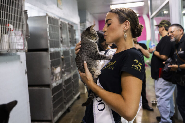 Allí tuvieron la oportunidad de compartir tiempo con perros y gatos que esperan ser adoptados por una familia que les brinde amor y cuidado.(Foto: Josian Bruno / Wapa Digital)
