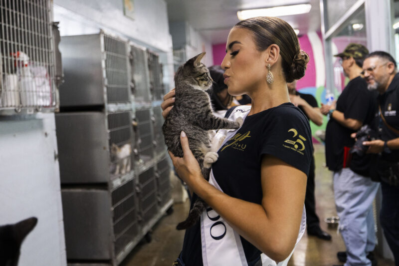 Allí tuvieron la oportunidad de compartir tiempo con perros y gatos que esperan ser adoptados por una familia que les brinde amor y cuidado.(Foto: Josian Bruno / Wapa Digital)